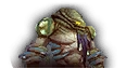 Brackenspore